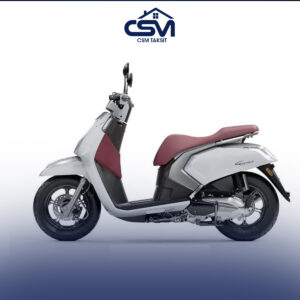 MOTOCYCLE MODELE GEMMA